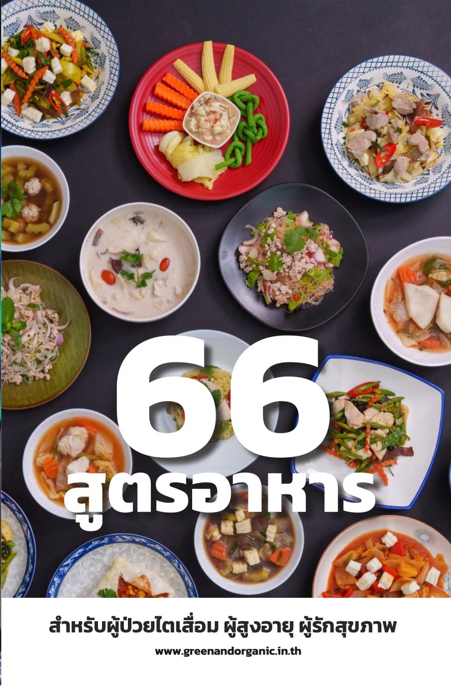 66 สูตรอาหารสุขภาพในหนังสือโภชนบำบัด สำหรับผู้ป่วยไตเสื่อม ผู้สูงอายุ ผู้รักสุขภาพ