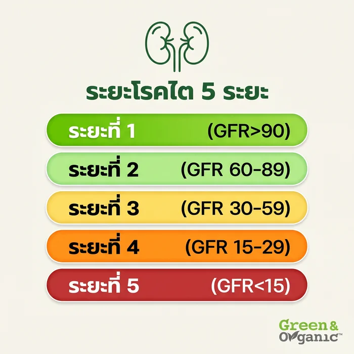 ระยะโรคไต 5 ระยะ GFR แต่ละระยะ